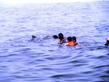 Enlarge photo 40