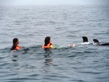 Enlarge photo 42