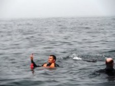 Enlarge photo 47