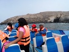 Enlarge photo 49