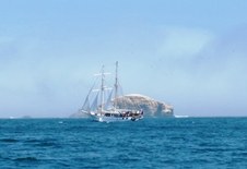 Enlarge photo 61