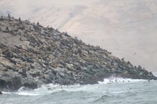 Enlarge photo 32