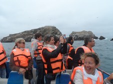 Enlarge photo 13