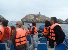 Enlarge photo 20