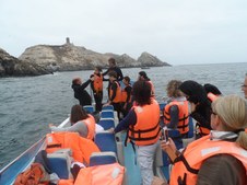 Enlarge photo 42