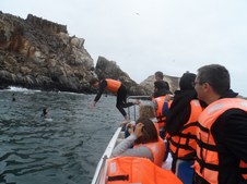 Enlarge photo 46