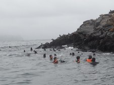 Enlarge photo 52