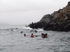 Enlarge photo 53