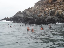 Enlarge photo 55
