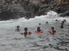 Enlarge photo 61