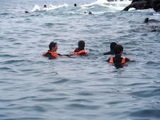 Enlarge photo 62