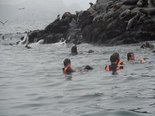 Enlarge photo 64