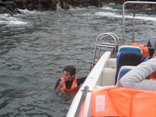 Enlarge photo 73