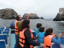 Enlarge photo 28