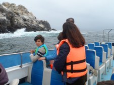 Enlarge photo 31
