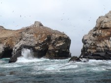 Enlarge photo 33