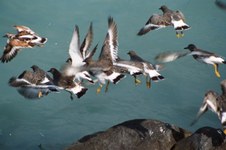 Enlarge photo 7
