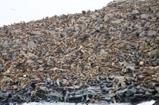 Enlarge photo 27
