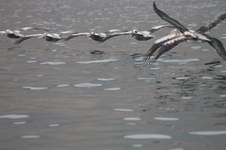 Enlarge photo 32