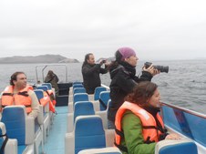 Enlarge photo 29
