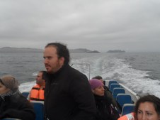 Enlarge photo 45