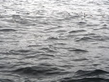 Enlarge photo 51