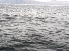 Enlarge photo 52