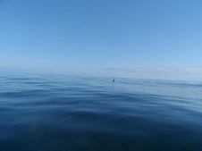 Enlarge photo 59