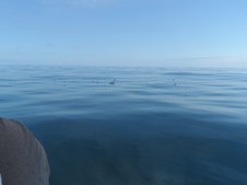 Enlarge photo 61