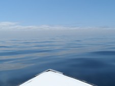 Enlarge photo 65