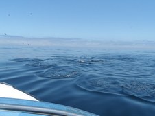 Enlarge photo 42