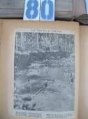 Enlarge photo 79