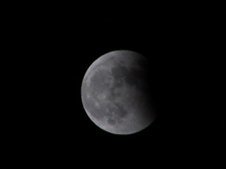 Enlarge photo 35