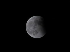 Enlarge photo 37