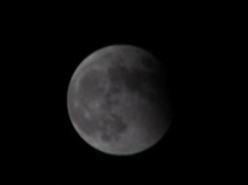 Enlarge photo 40