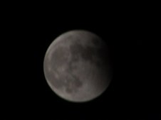 Enlarge photo 41