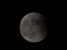 Enlarge photo 42