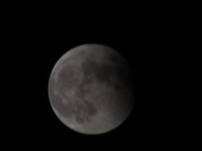 Enlarge photo 43