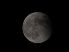 Enlarge photo 44
