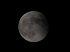 Enlarge photo 45