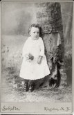 Enlarge photo 16