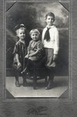 Porter Family Album Ulster NY>CA