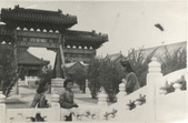 Enlarge photo 26