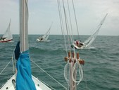 Enlarge photo 17