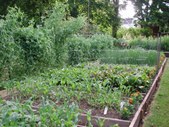 Enlarge photo 37