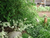 Enlarge photo 26