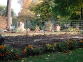Enlarge photo 65