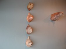 Enlarge photo 14