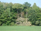 Enlarge photo 68