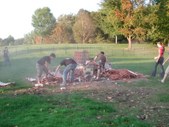 Enlarge photo 79